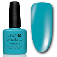 niebieska hyryda Shellac Aqua Intence