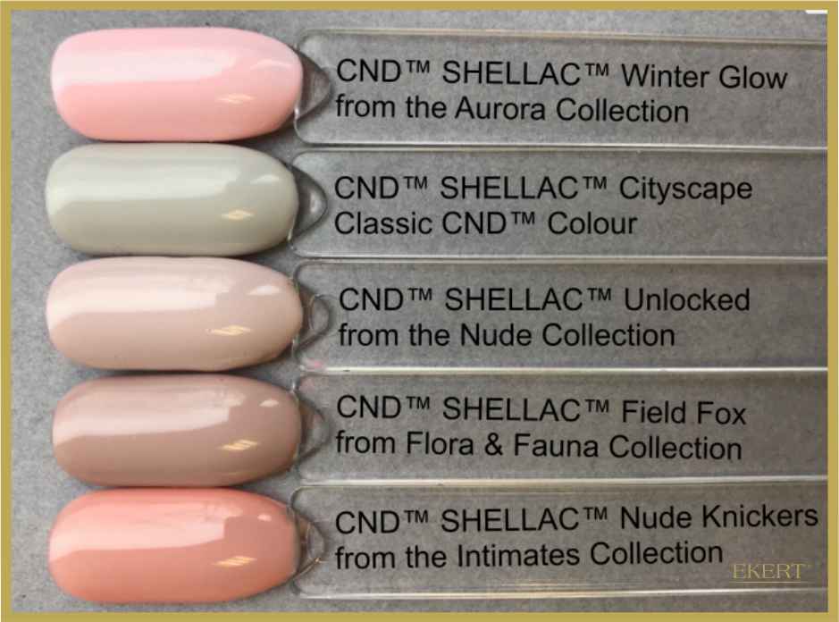 VARNISH COLORS FOR SPRING 2019 | Pink shellac nails 